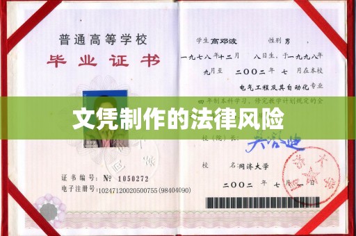祁连文凭制作的法律风险